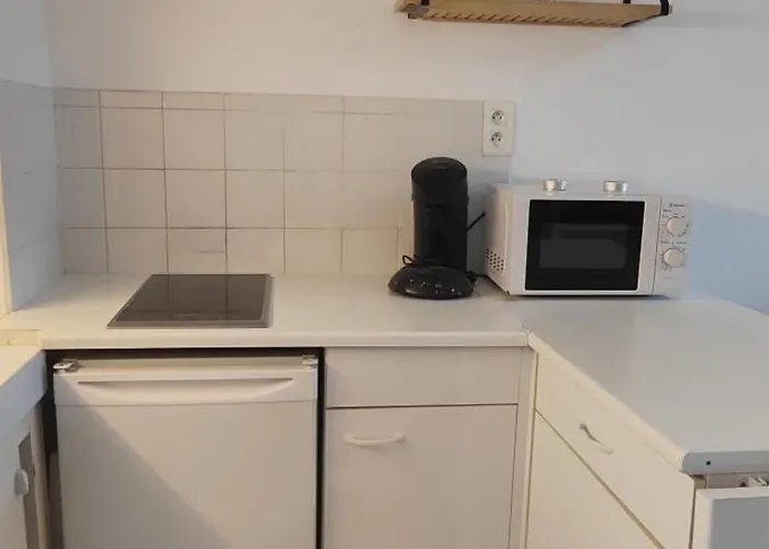 Apartment Les Flots Tres Bien Place !